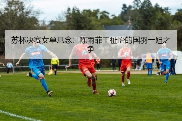 苏杯决赛女单悬念：陈雨菲王祉怡的国羽一姐之争